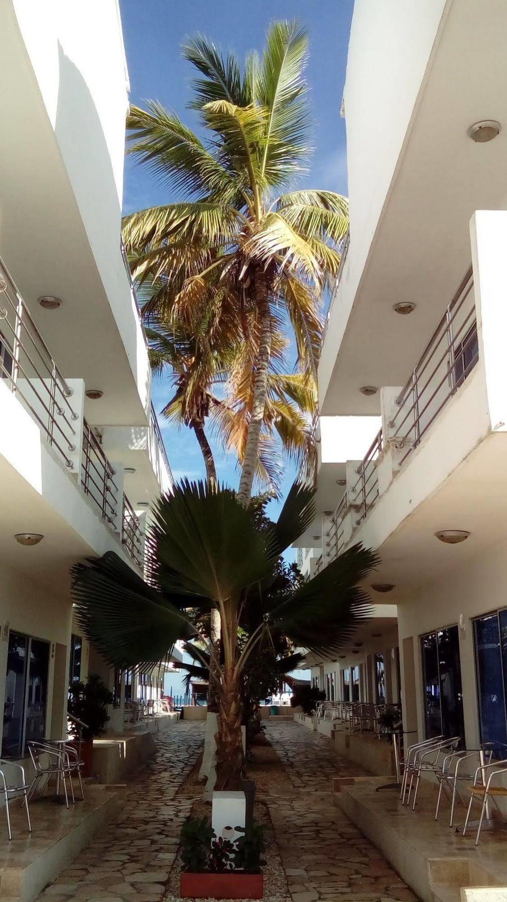Hotel Portoalegre Coveñas Dış mekan fotoğraf